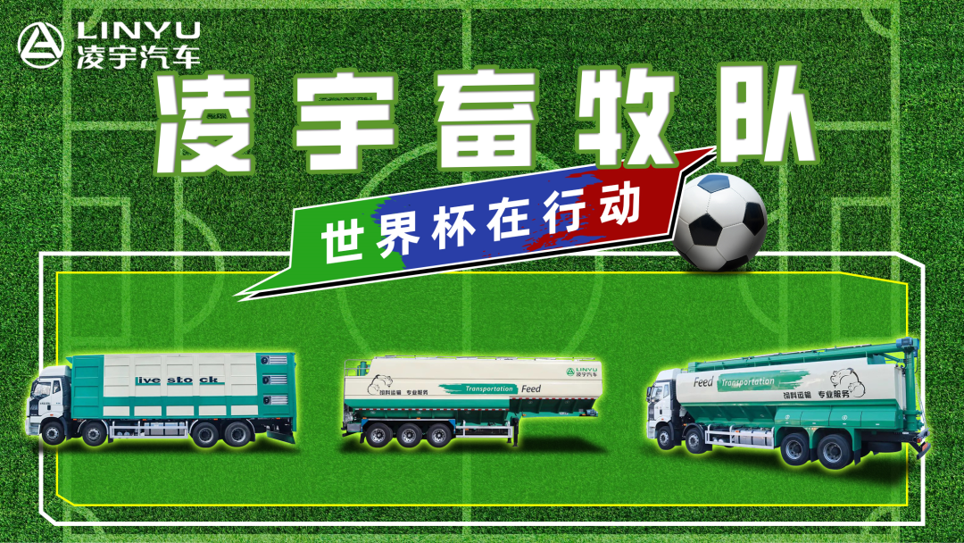 奪冠世界杯！你注意到這支球隊了嗎？
